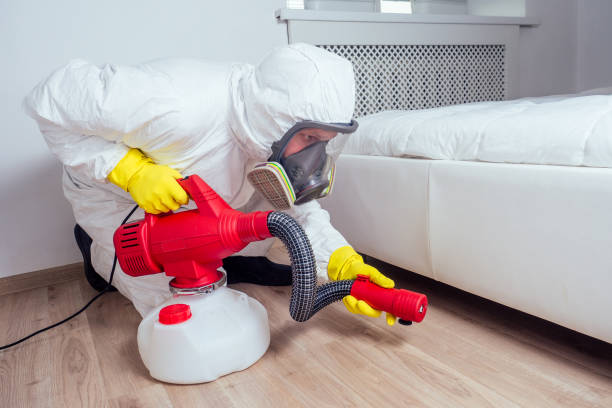 Best Pest Control for Hotels  in Bayou Vista, LA